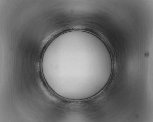 X0000111910725200907271034