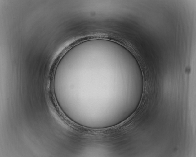 X0000111910726200907271034