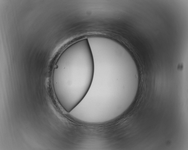 X0000111910728200907271034