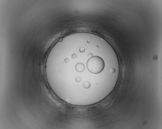 X0000111910729200907271034