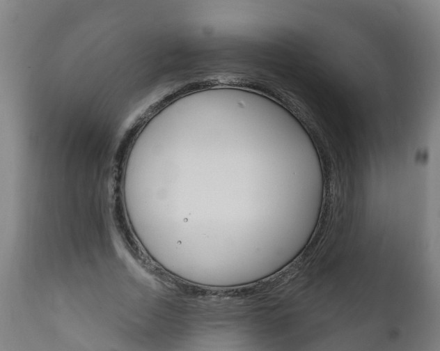 X0000111910730200907271034