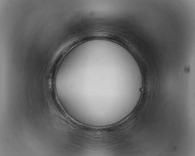 X0000111910731200907271034