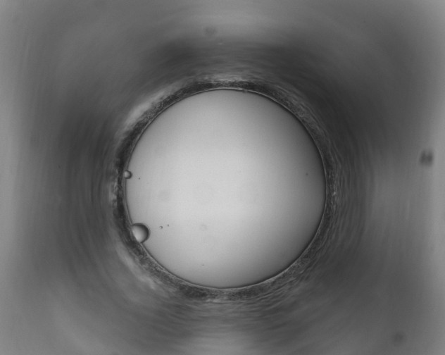 X0000111910732200907271034
