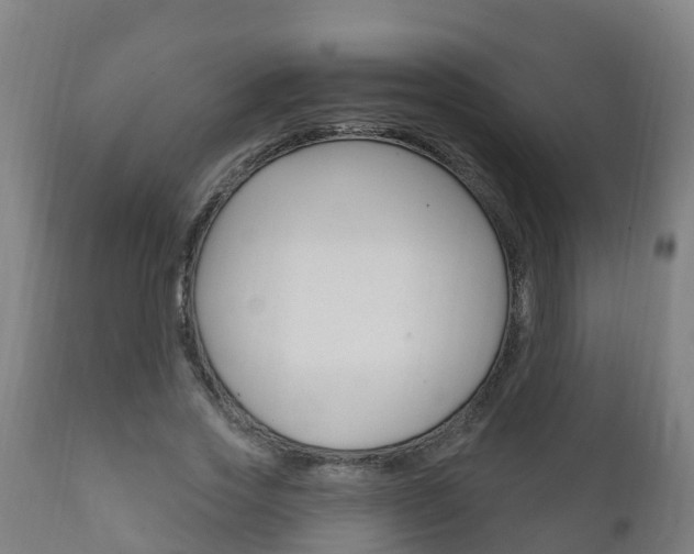 X0000111910733200907271034