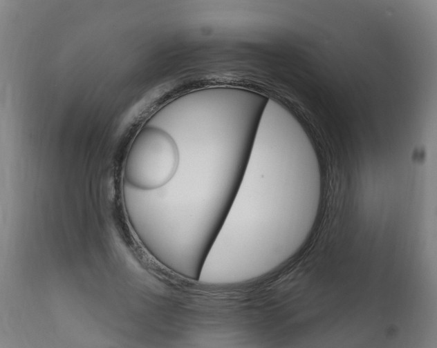 X0000111910734200907271034