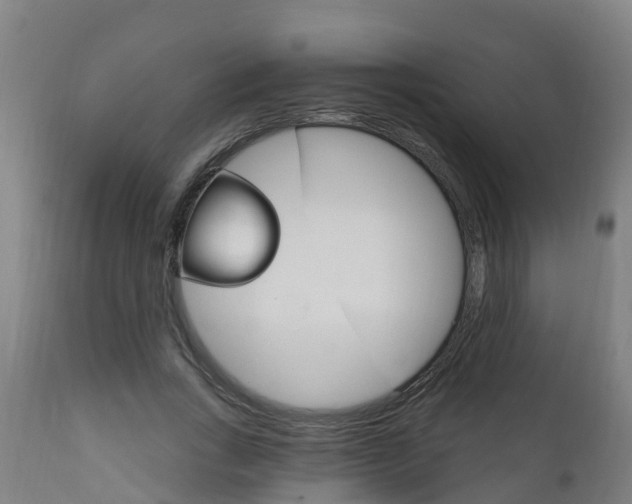 X0000111910735200907271034