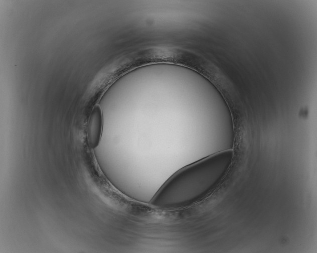 X0000111910736200907271034