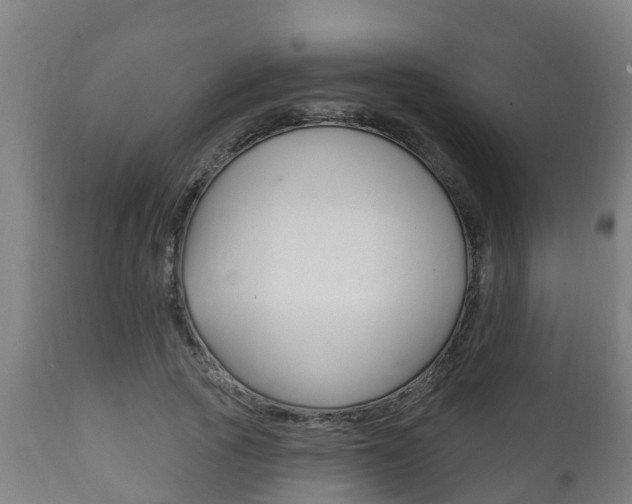 X0000111910737200907271034
