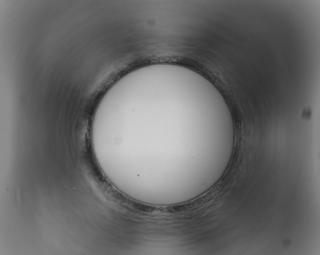 X0000111910742200907271034