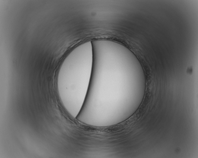 X0000111910743200907271034