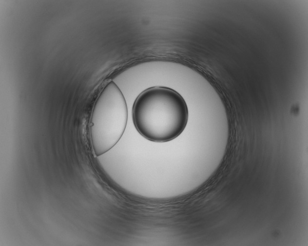X0000111910744200907271034
