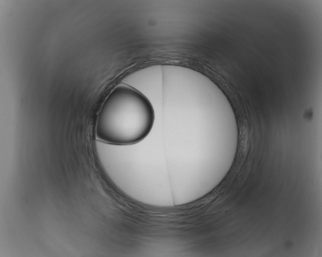 X0000111910747200907271034