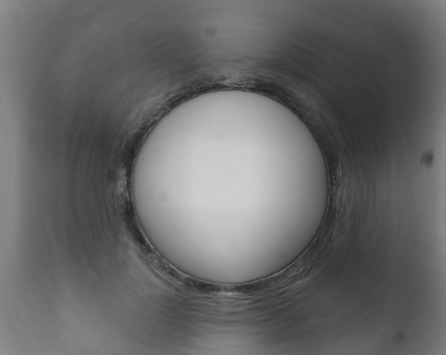 X0000111910748200907271034