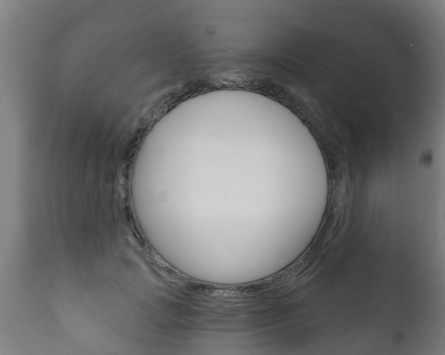 X0000111910749200907271034