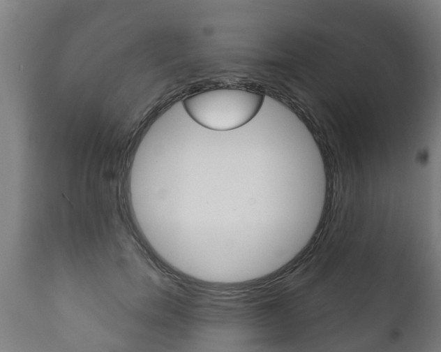 X0000111910750200907271034