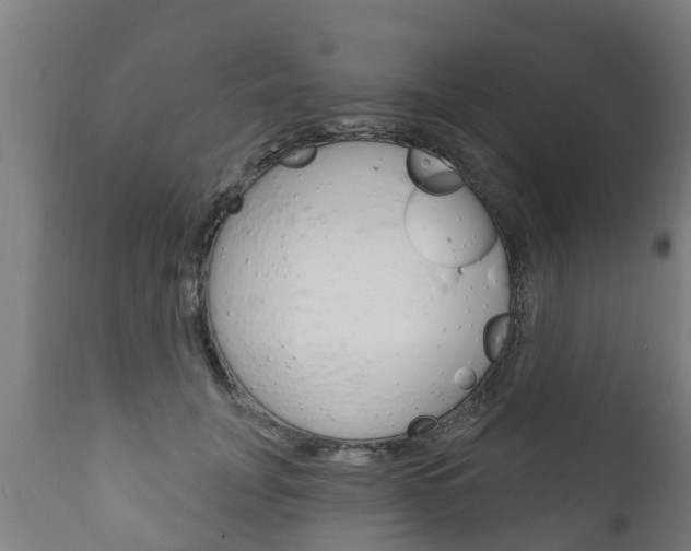 X0000111910751200907271034
