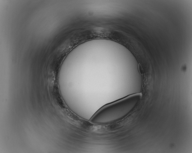 X0000111910752200907271034