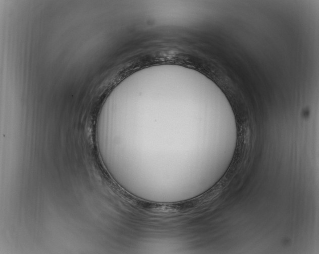 X0000111910754200907271034