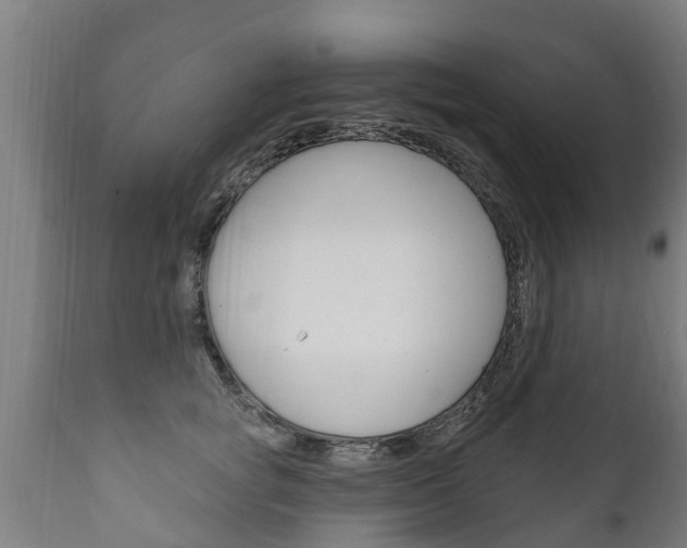X0000111910757200907271035