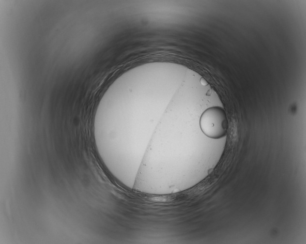 X0000111910759200907271035