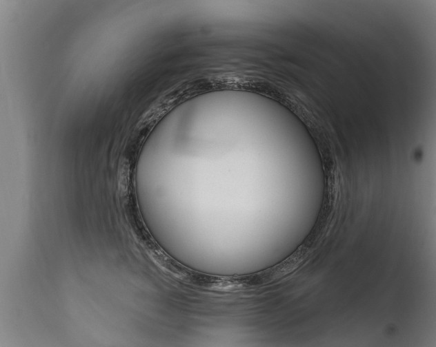 X0000111910760200907271035