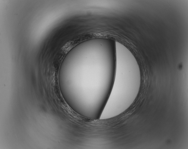 X0000111910762200907271035
