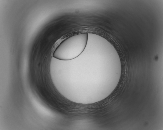 X0000111910764200907271035