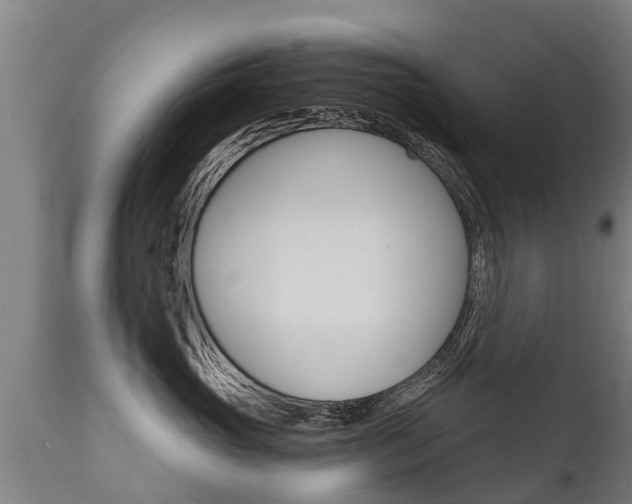 X0000111910765200907271035
