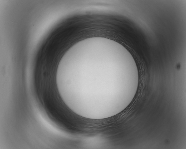 X0000111910766200907271035