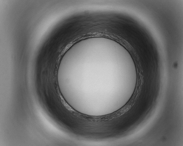 X0000111910767200907271035