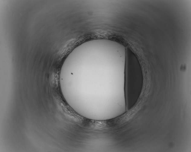 X0000111910768200907271035