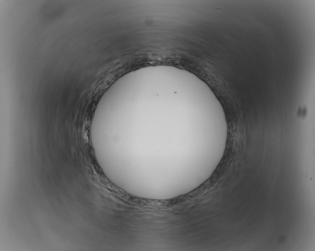 X0000111910770200907271034