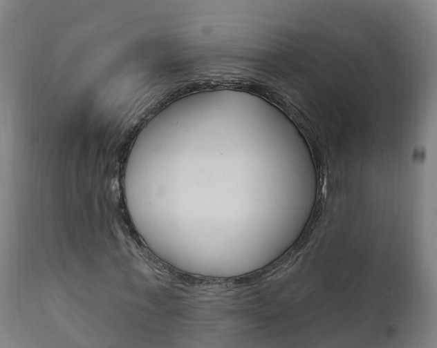 X0000111910771200907271034