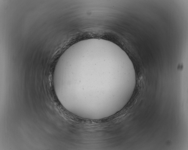 X0000111910772200907271034