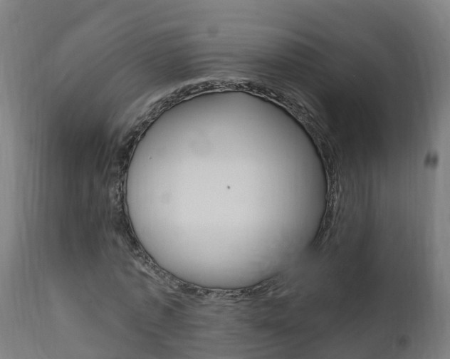 X0000111910773200907271034