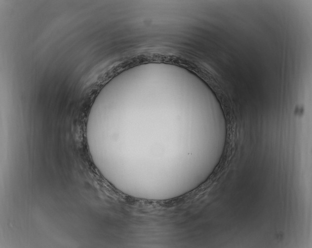 X0000111910774200907271034