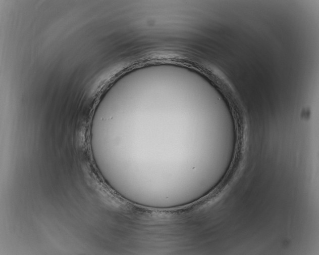 X0000111910777200907271034