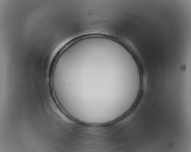 X0000111910780200907271034