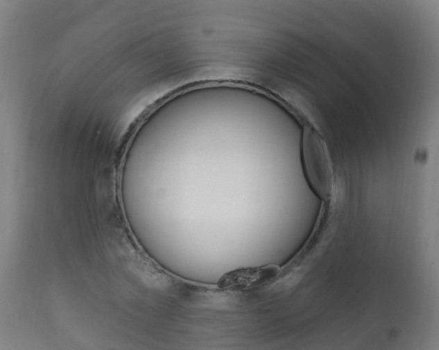 X0000111910781200907271034