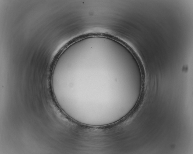 X0000111910783200907271034