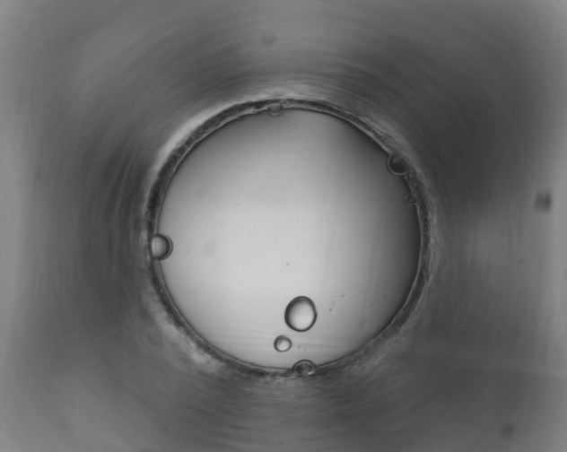 X0000111910784200907271034