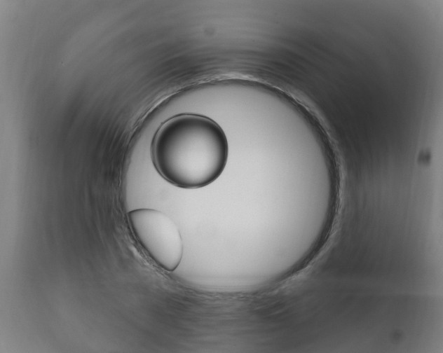 X0000111910785200907271034