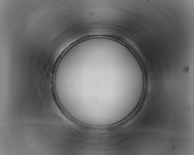 X0000111910786200907271034