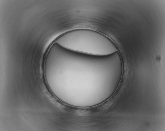 X0000111910788200907271034