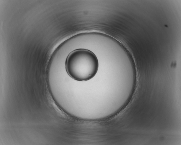 X0000111910789200907271034