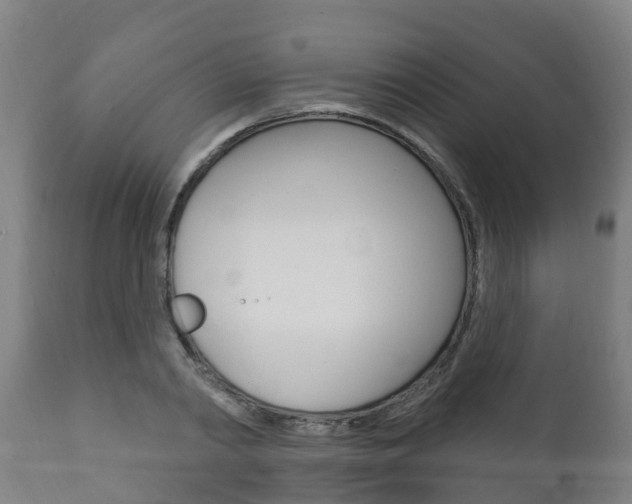 X0000111910790200907271034