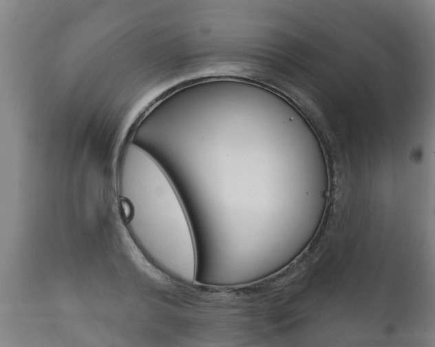 X0000111910792200907271034
