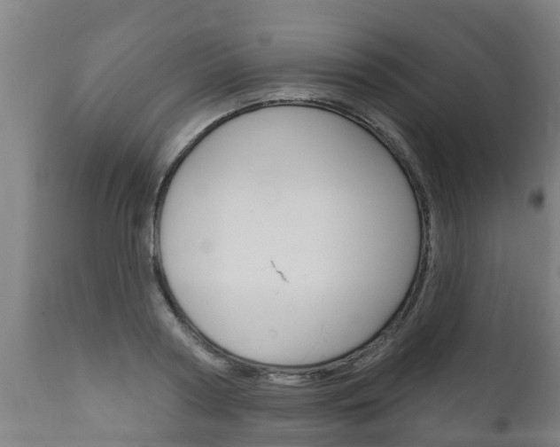 X0000111910794200907271034