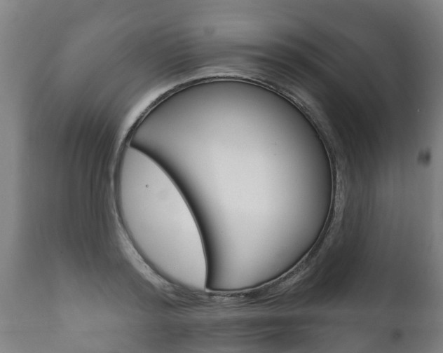 X0000111910796200907271034