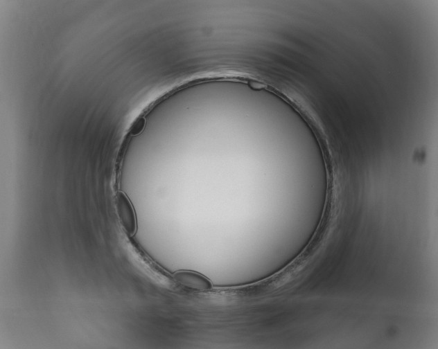 X0000111910797200907271034